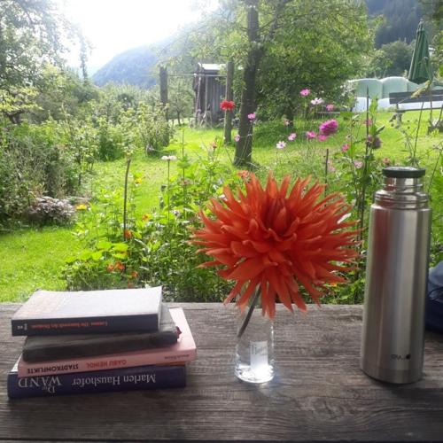 Im Vordergrund des Bildes: Blume in einer Vase auf einem Tisch, daneben ein Bücherstapel. Im Hintergrund des Bildes ist ein Garten zu sehen